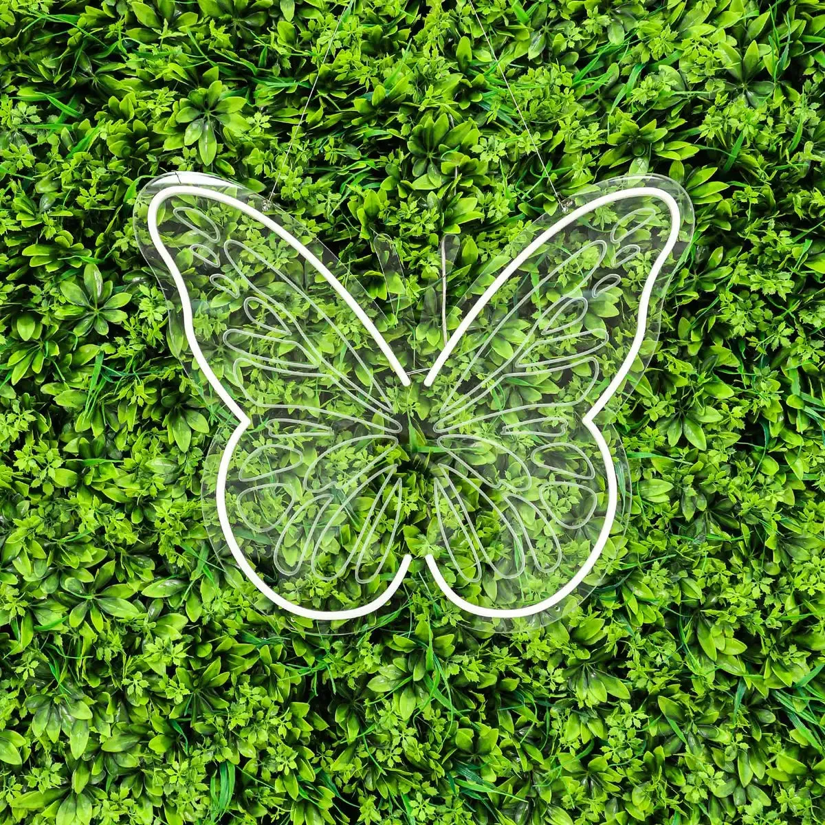 Butterfly Neon Sign Acrylic Plate for Graduation Wedding Party Decor