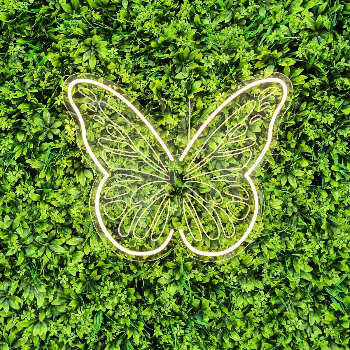 Butterfly Neon Sign Acrylic Plate for Graduation Wedding Party Decor