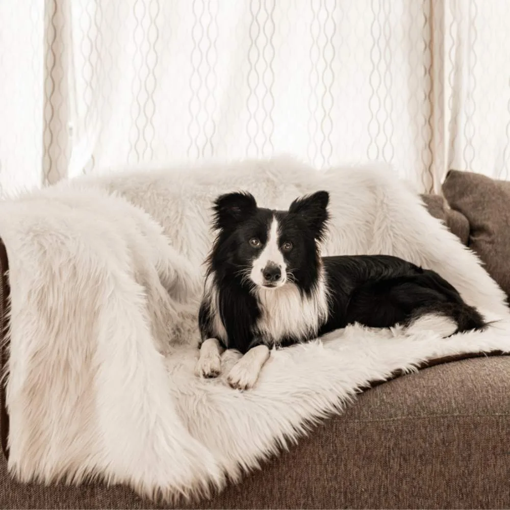 Paw PupProtector Waterproof Throw Blanket