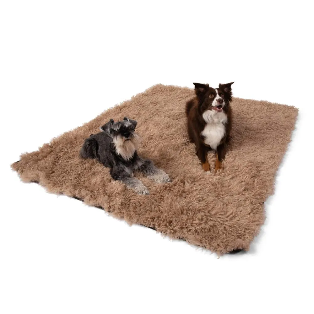 Paw PupProtector Waterproof Throw Blanket