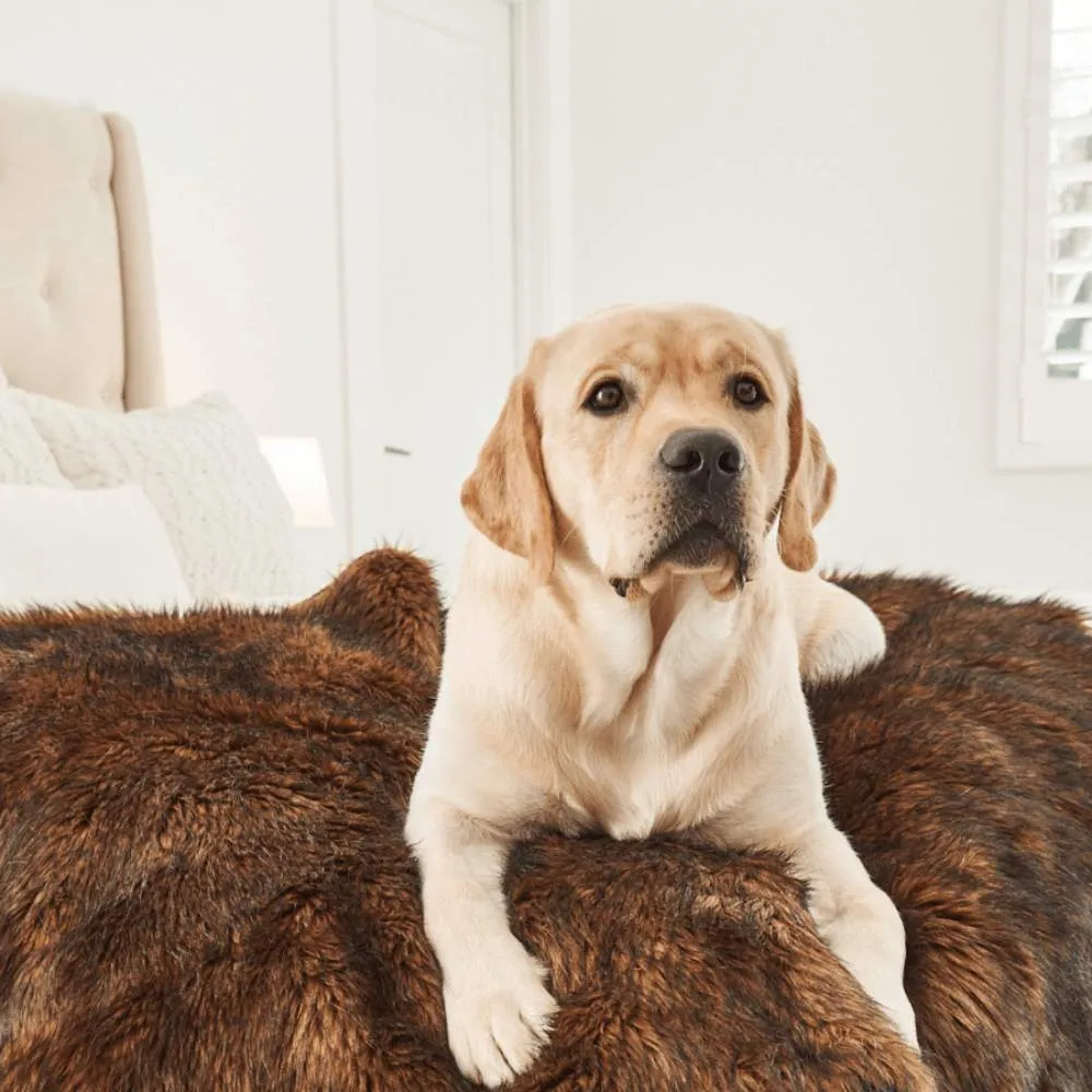 Paw PupProtector Waterproof Throw Blanket